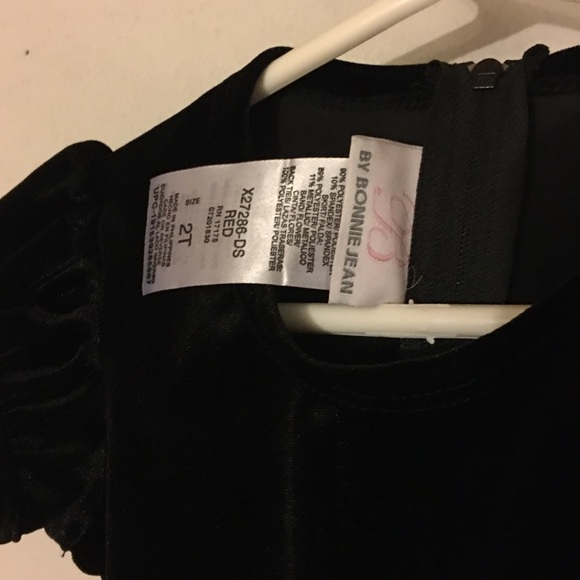 Fancy 2T Dress! - Picture 3 of 4